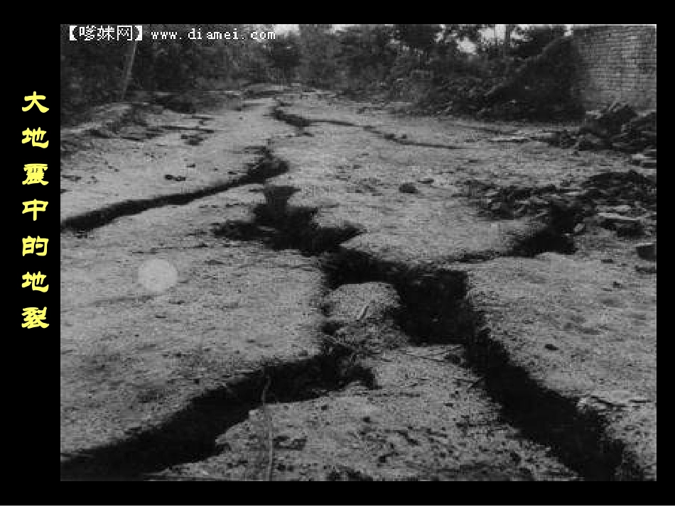 《地震中的父与子》PPT_第2页