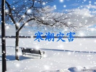 中国的气象灾害—寒潮演示文稿