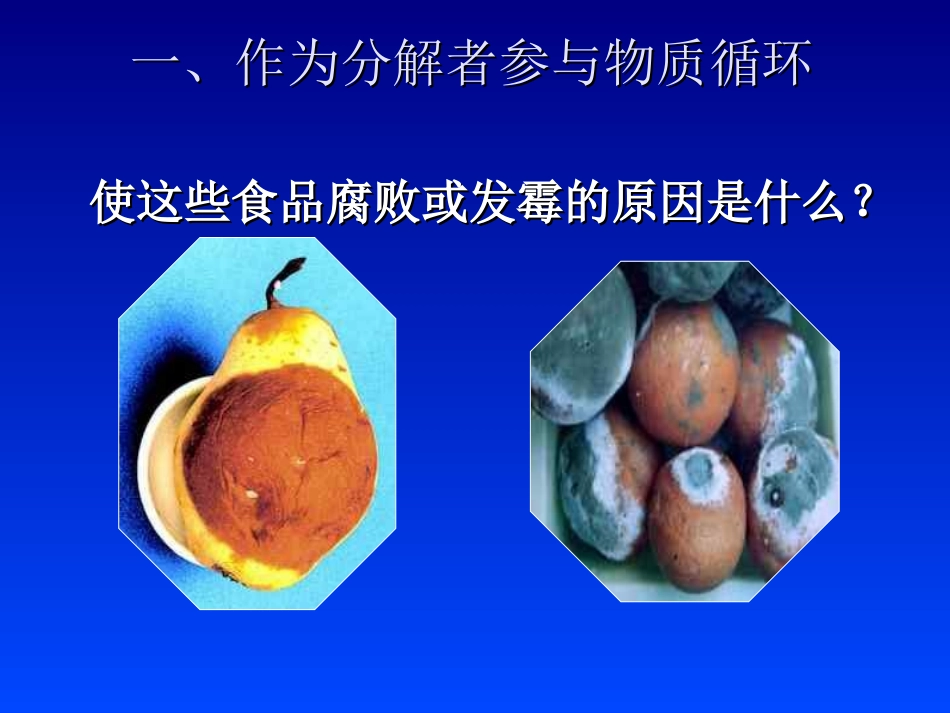 《细菌和真菌在自然界中的作用》参考课件1_第2页