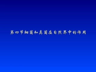 《细菌和真菌在自然界中的作用》参考课件1
