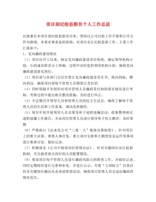 目部纪检监察员个人工作总监 