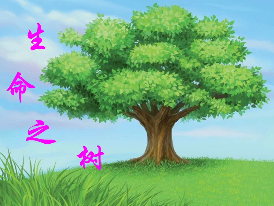 七年级主题阅读生命之树课件_第1页