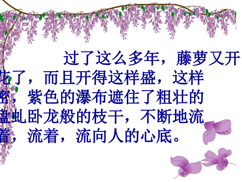 七年级主题阅读生命之树课件_第3页