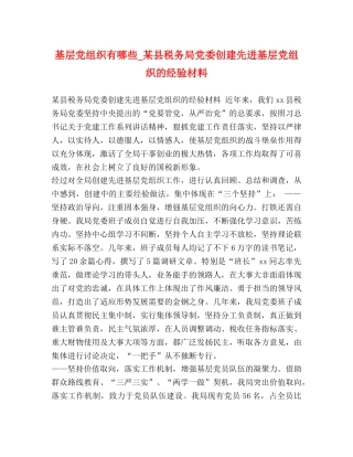 基层党组织有哪些_某县税务局党委创建先进基层党组织的经验材料 