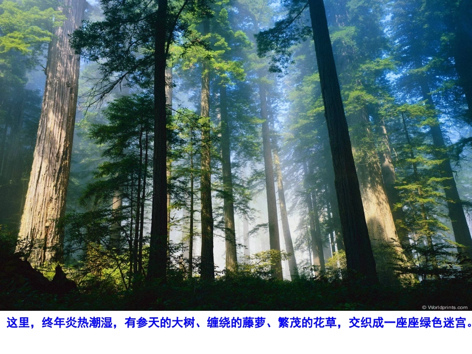 地球的形状、自转运动与气候_第1页