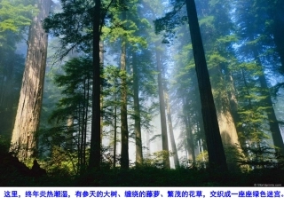 地球的形状、自转运动与气候