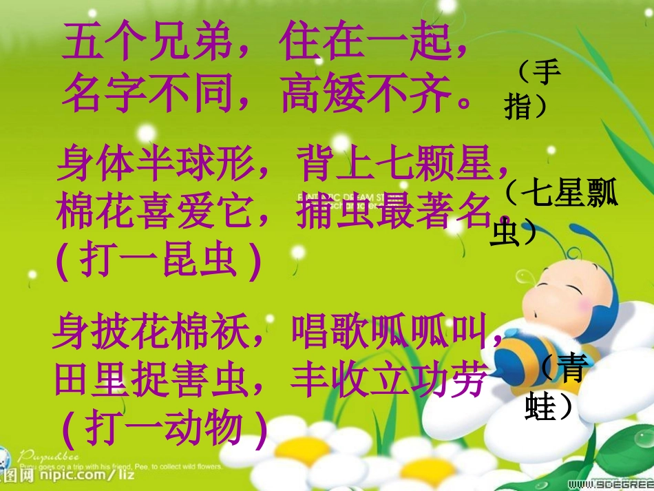 二年级教学课件《回声》_第1页