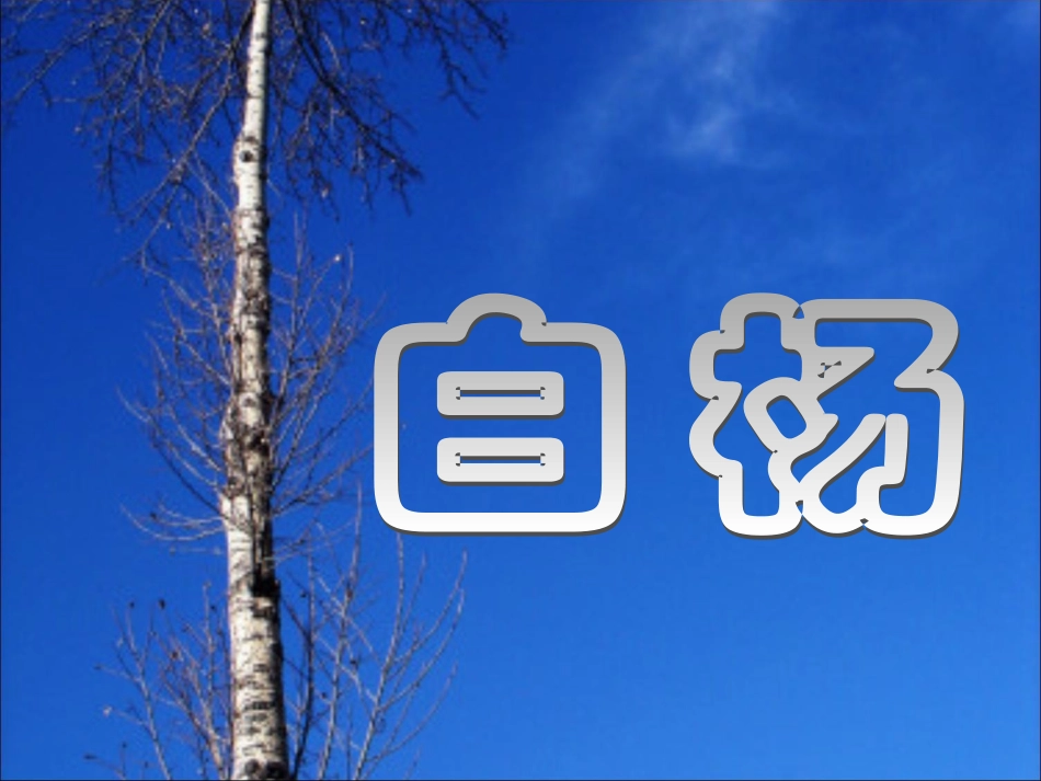 《白杨》教学参考课件一_第1页