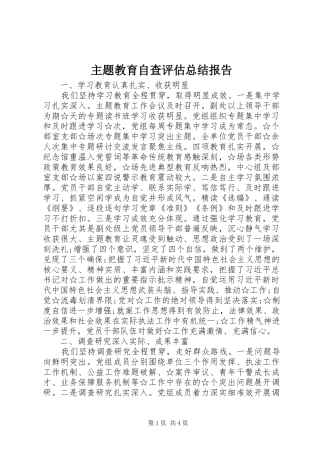 主题教育自查评估总结报告 (3)