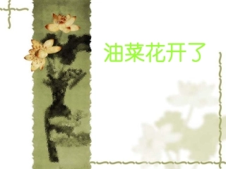 人教版小学科学《油菜花开了》课件