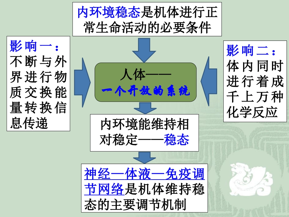 通过神经系统的调节13_第1页