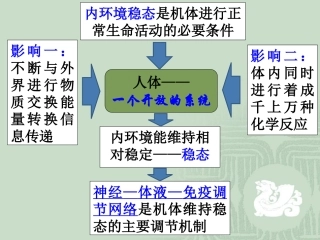 通过神经系统的调节13