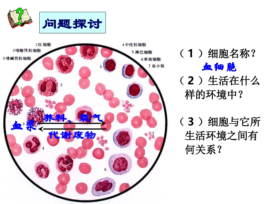 细胞生活的环境 (2)_第3页