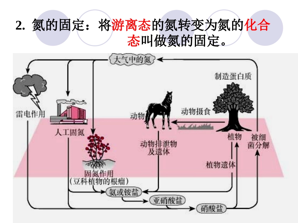 高一化学必修一_氨_硝酸_硫酸1_第3页
