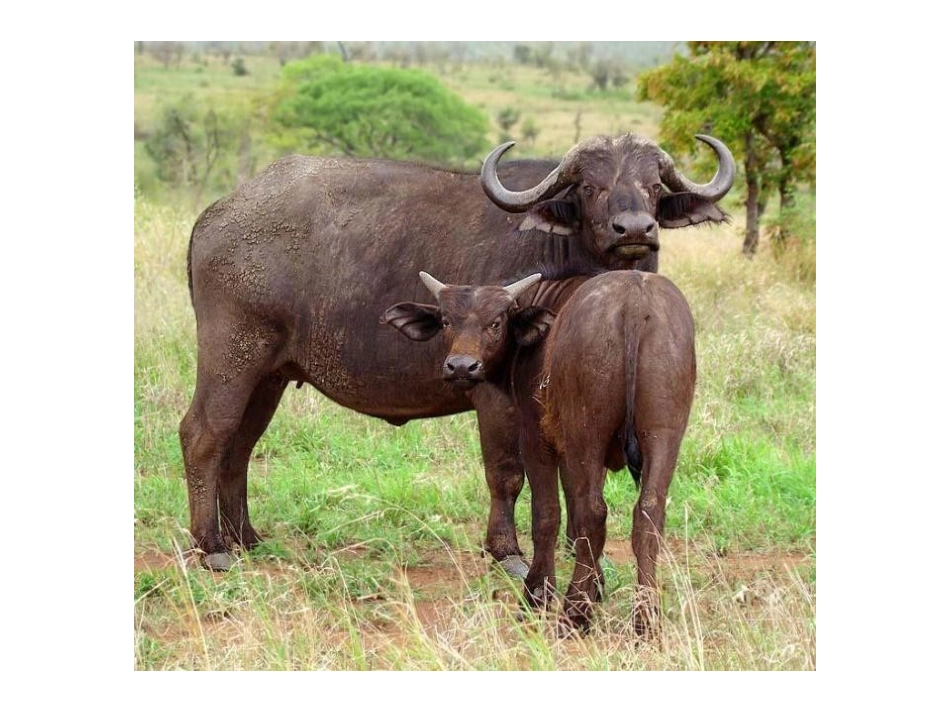 《和妈妈在一起》_第2页