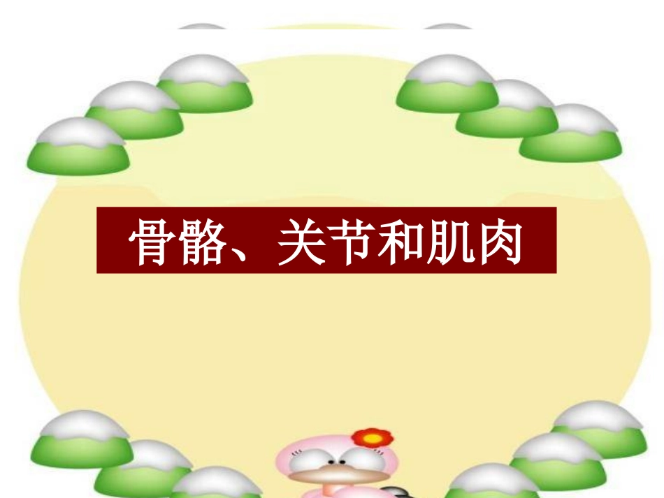 《骨骼、关节和肌肉》课件(教科版小学科学四年级上册课件)_第1页
