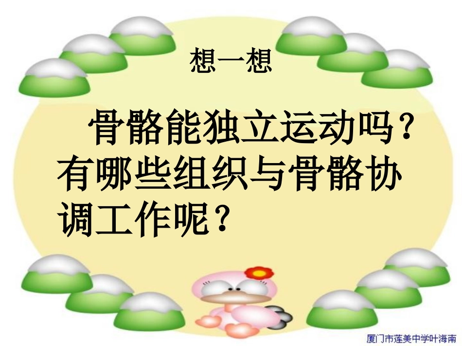 《骨骼、关节和肌肉》课件(教科版小学科学四年级上册课件)_第3页