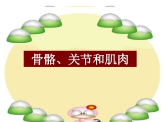 《骨骼、关节和肌肉》课件(教科版小学科学四年级上册课件)