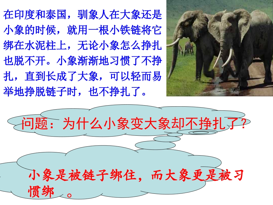 《良好习惯大家学》主题班会_第2页