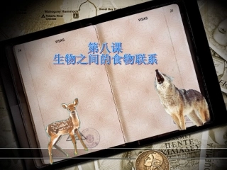 生物之间的食物联系