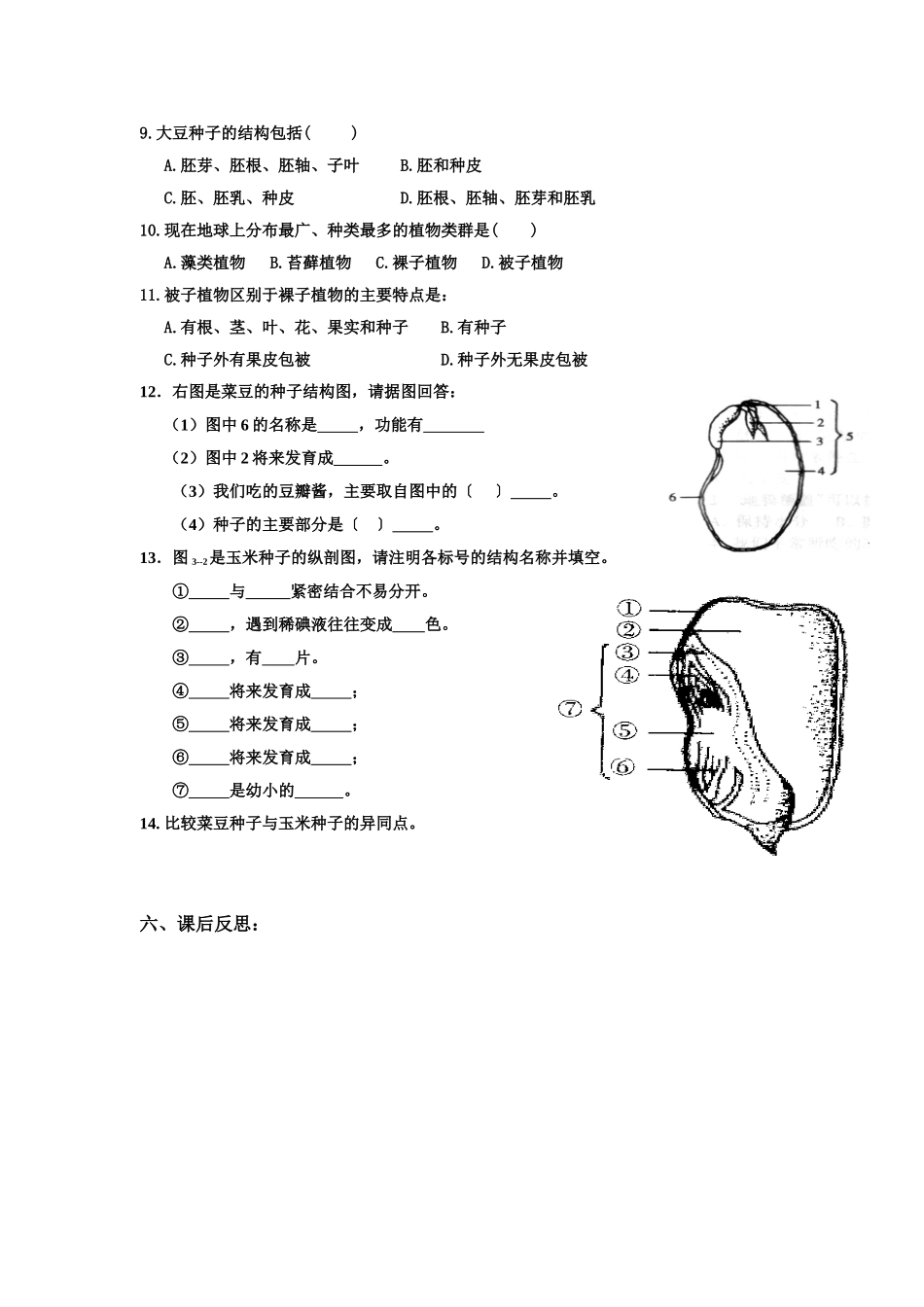 第二节种子植物_第3页