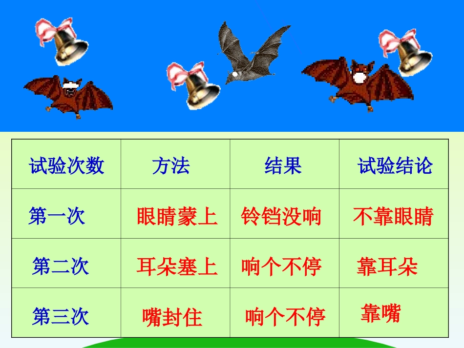 蝙蝠和雷达第二课_第3页