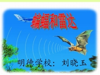 蝙蝠和雷达第二课
