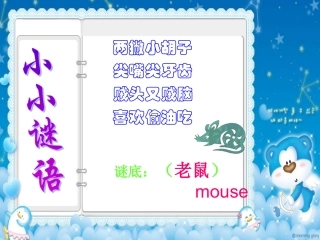 《认识鼠标》教学课件