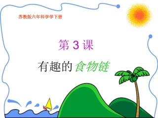 有趣的食物链课件