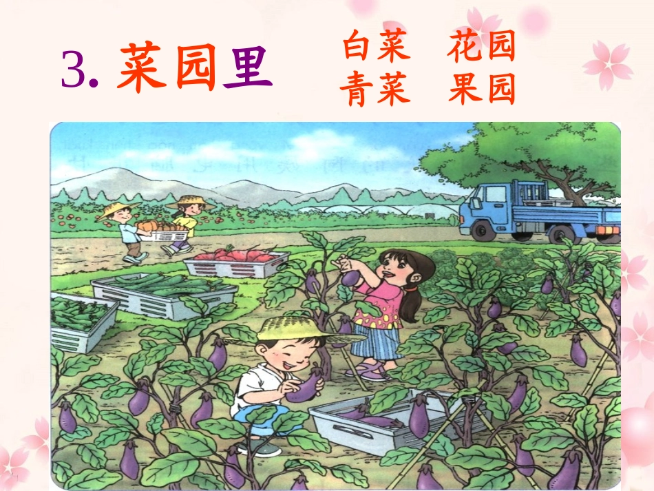 《菜园里》教学课件 (2)_第1页