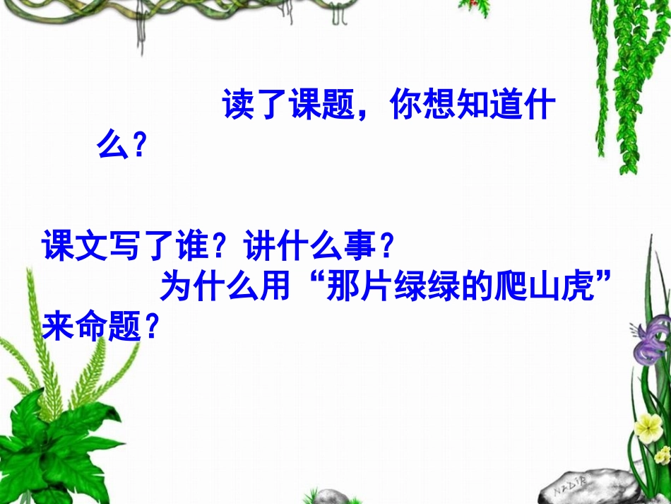 《那片绿绿的爬山虎》教学课件2_第2页