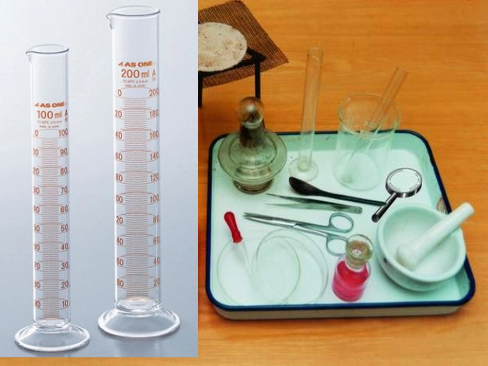 八年复习第二单元探索生命_第2页