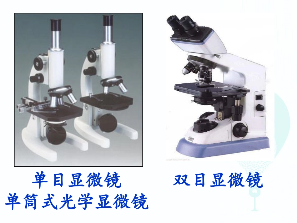 八年复习第二单元探索生命_第3页