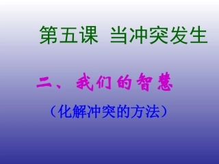 政治八年级下“我们的智慧”课件