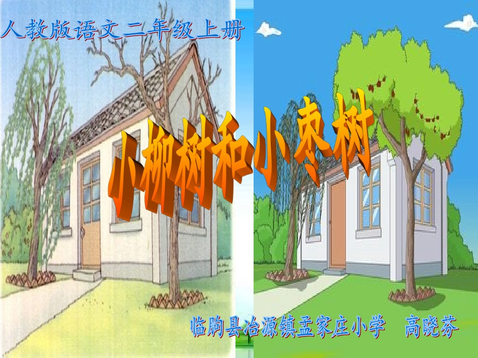 《小柳树和小枣树》课件_第1页