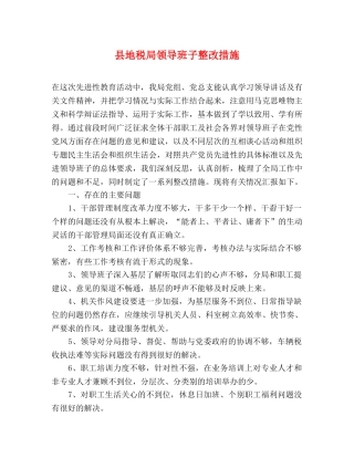 县地税局领导班子整改措施 