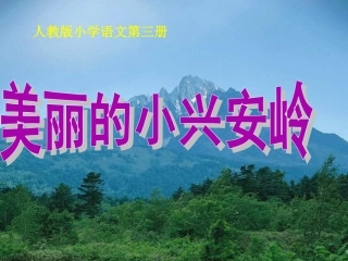 美丽的小兴安岭课件