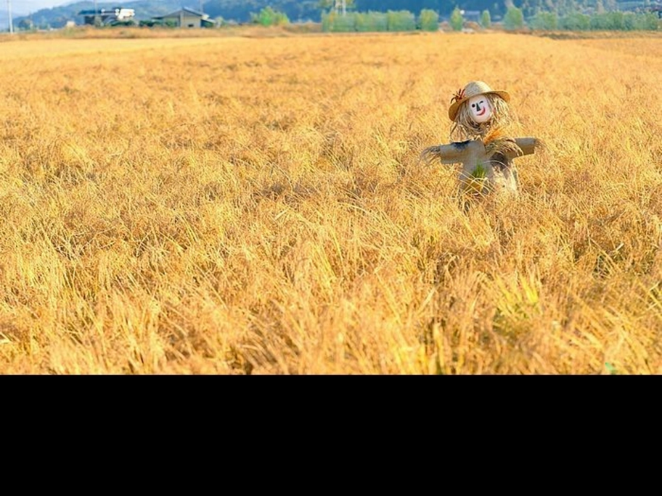 写景作文课件_第2页