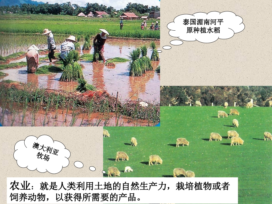 温守军上传课件《农业的区位选择》_第2页