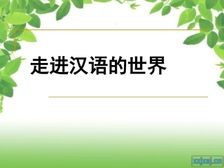 《走进汉语的世界》完成版