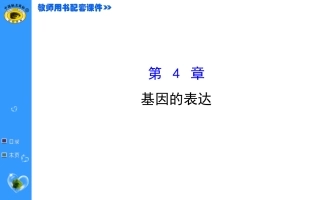 高中生物必修二第4章复习