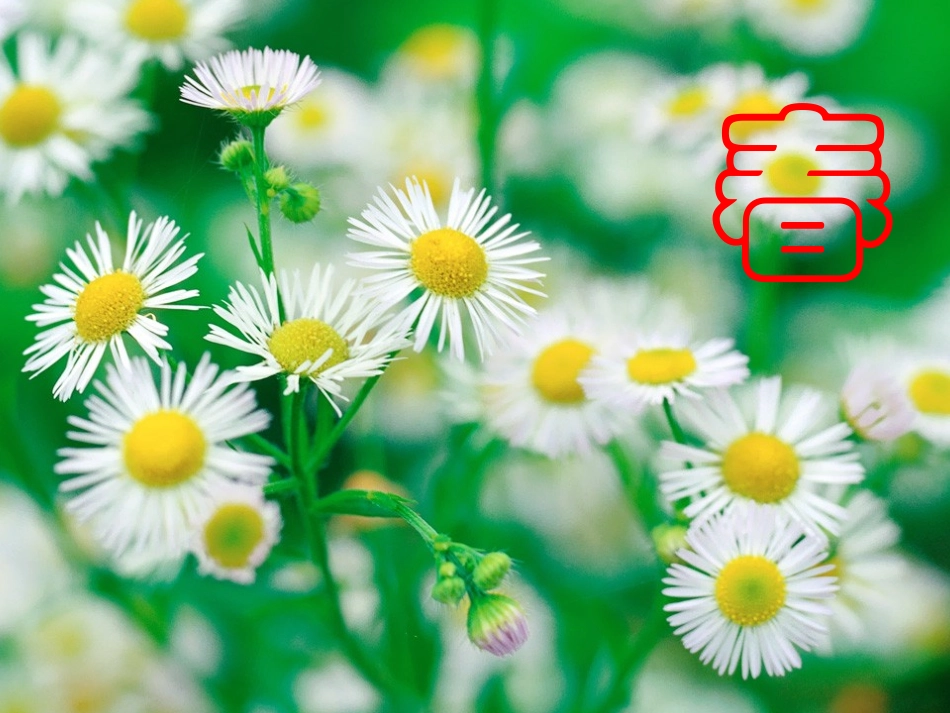 《四季》教学课件_第2页