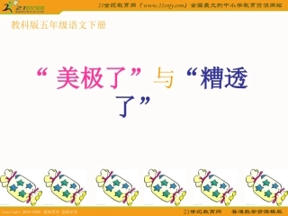 〈“美极了”与“糟透了”〉课件