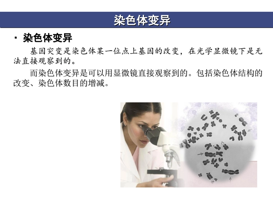 染色体变异 (2)_第1页