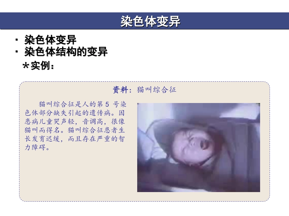 染色体变异 (2)_第2页