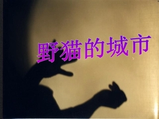 PPT课件野猫的城市（修改版）