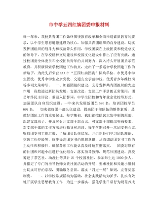 市五四红旗团委申报材料 