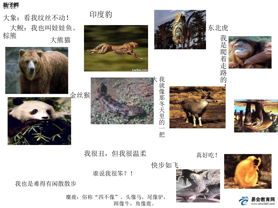 形形色色的生物3_第2页