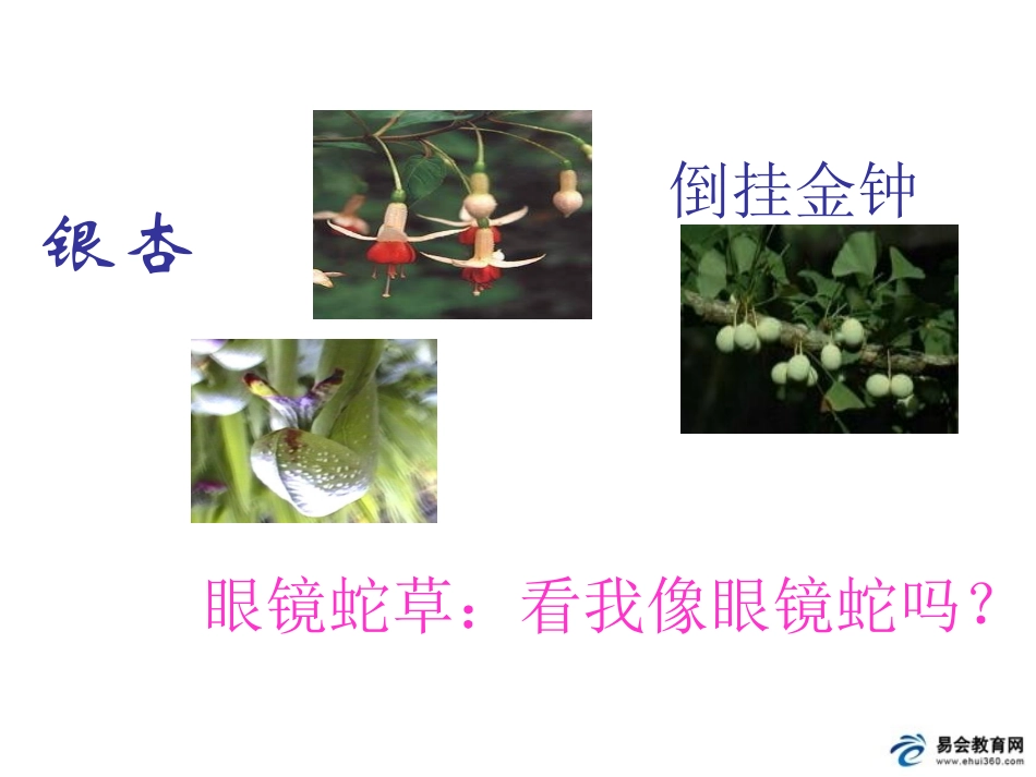 形形色色的生物3_第3页