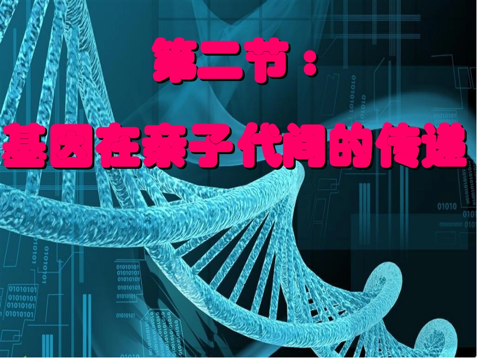基因在子代间的传递_第1页